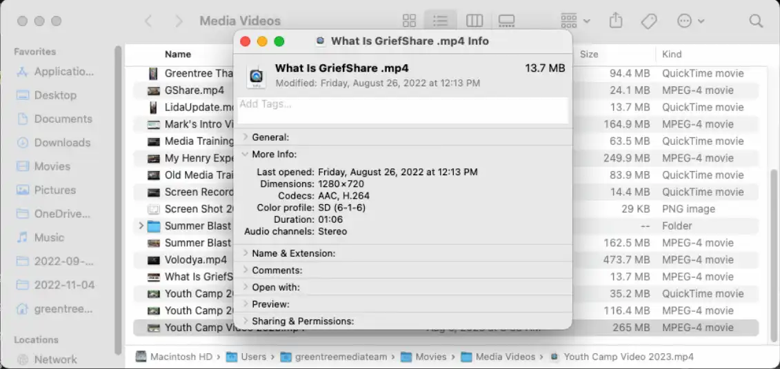 Video Audio Level Properties